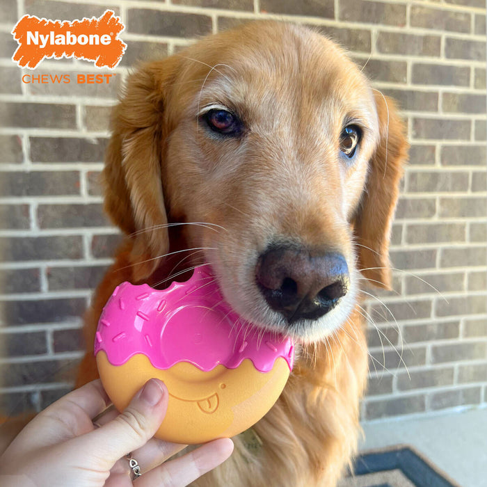 Hondenspeelgoed Nylabone Roze Bacon L