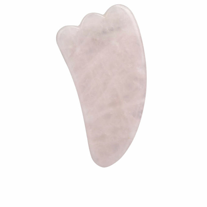 Gezichtsreinigingsborstel Paloma Beauties HIGIENE Y BIENESTAR Roze