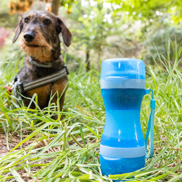 2-in-1 fles met water en voederbakken voor huisdieren Pettap InnovaGoods
